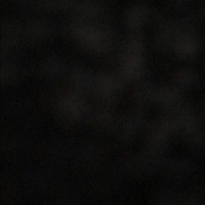 Meet your Posher, Riley